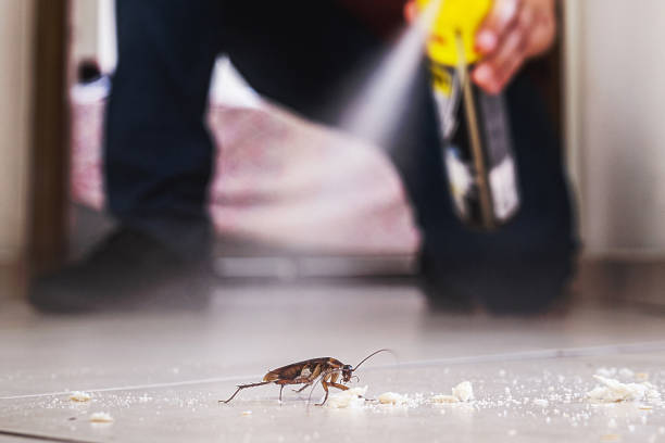 Pest Control Cost in Bay Village, OH