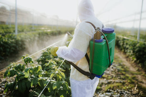 Best Commercial Pest Control Services  in Bay Village, OH